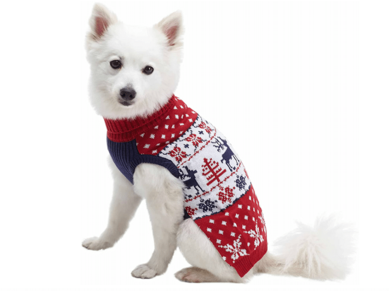 Cute Christmas Outfits for Dogs