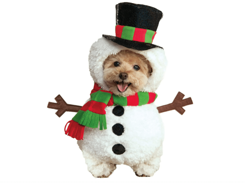 Cute Christmas Outfits for Dogs