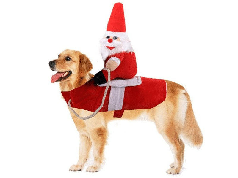 Cute Christmas Outfits for Dogs