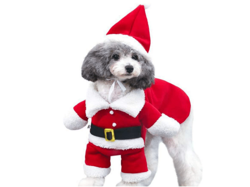 NACOCO Dog Santa Claus Suit