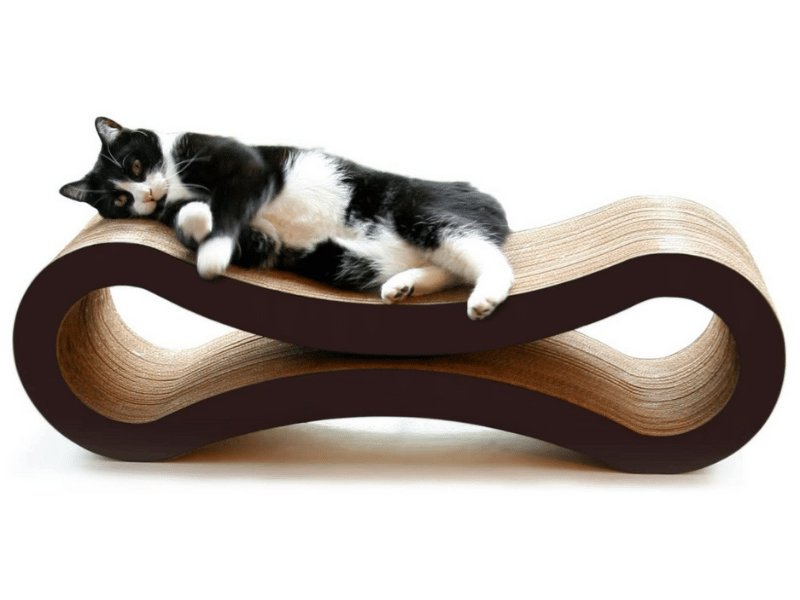 Best Gifts for Cats 2021