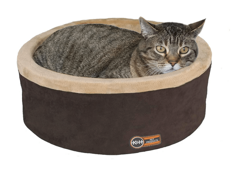 Best Gifts for Cats 2021