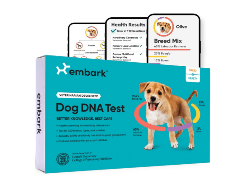 Embark Dog DNA Test Kit