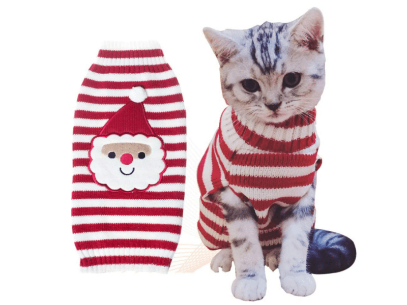 Adorable Christmas Outfits for Cats