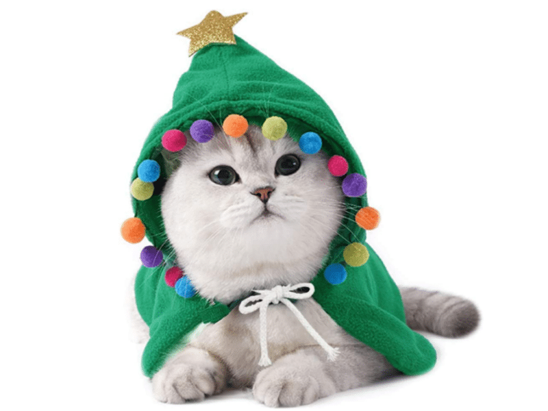 Adorable Christmas Outfits for Cats