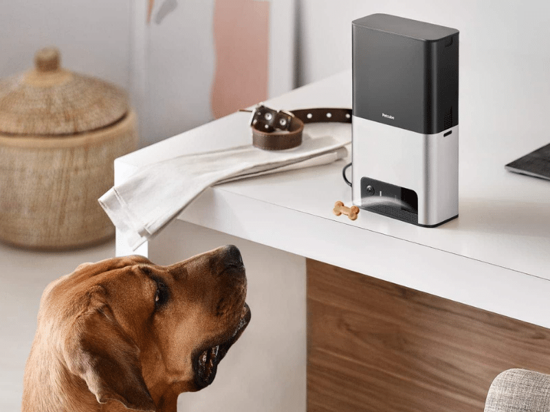 Best Smart Home Tech for Pets