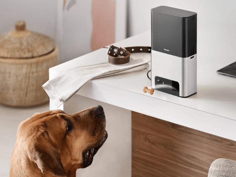 Best Smart Home Tech for Pets
