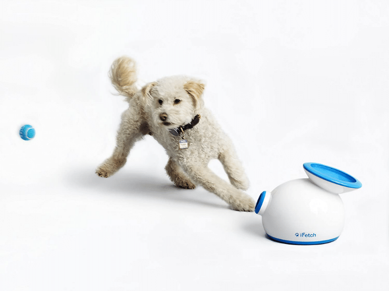 Smart Home Tech for Pets